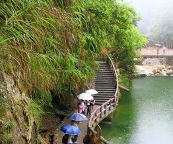 activity_detail_image