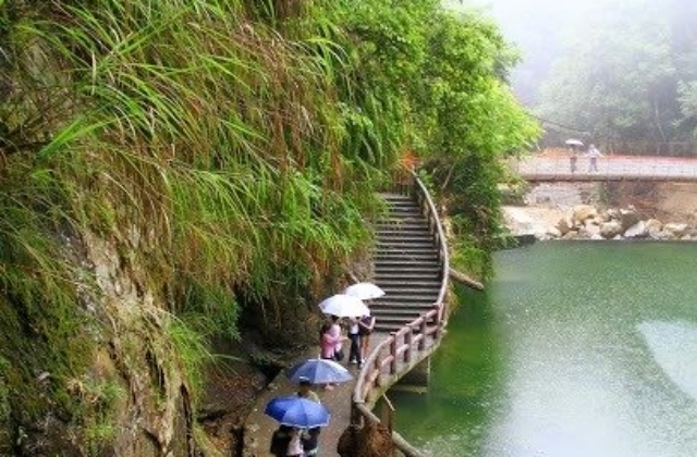 台中発 - 森林渓谷 日帰りツアー (忘憂森林·妖怪村)