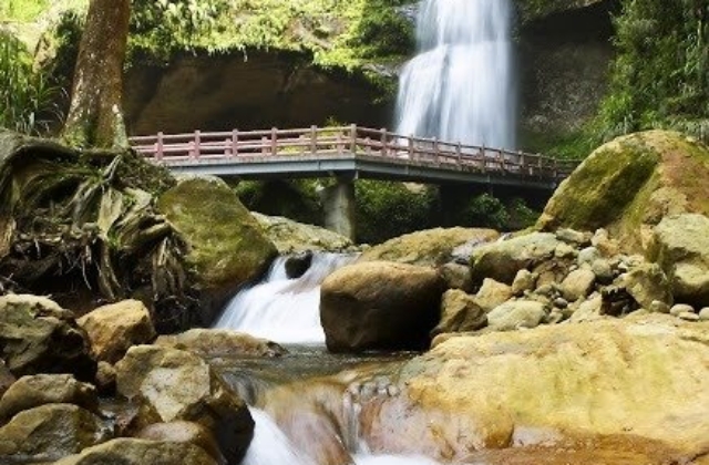 台中発 - 森林渓谷 日帰りツアー (忘憂森林·妖怪村)