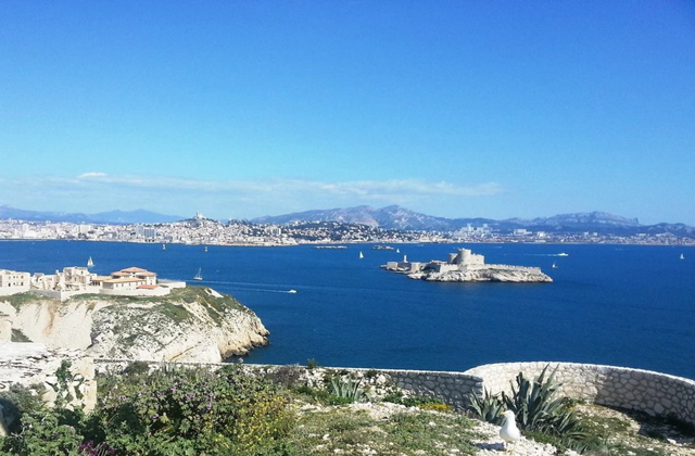 [2박3일] 니스 출발: 남프랑스 마르세유, 엑상프로방스, 아비뇽 공식 차량 투어