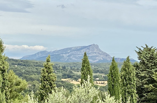 [2박3일] 니스 출발: 남프랑스 마르세유, 엑상프로방스, 아비뇽 공식 차량 투어