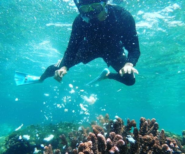 activity_detail_image