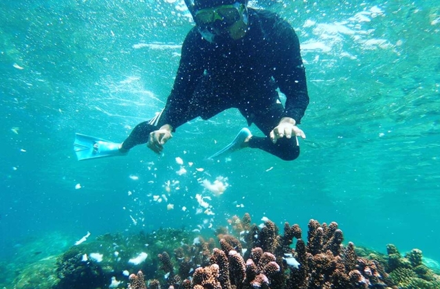 나트랑 오션월드 크레이지 파티 호핑투어