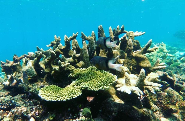 나트랑 오션월드 크레이지 파티 호핑투어