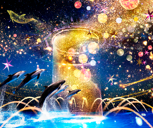 activity_detail_image