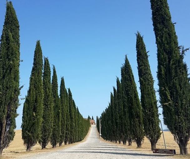 activity_detail_image