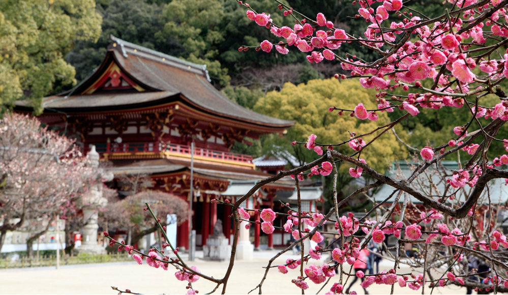 [라쿠투어] 매일출발 후쿠오카 다자이후, 유후인, 벳푸 버스투어 - 모찌증정&입장료포함