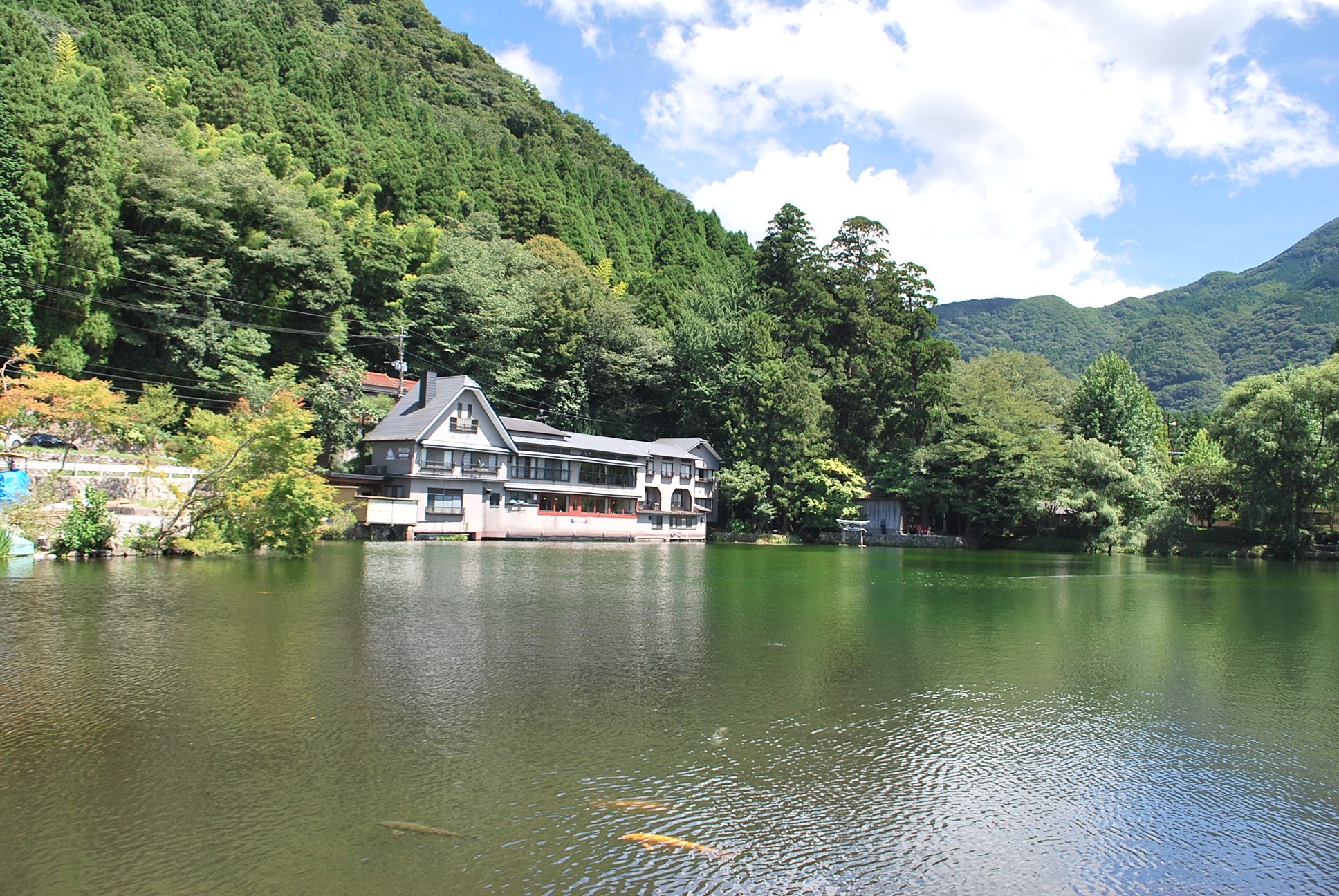 [라쿠투어] 매일출발 후쿠오카 다자이후, 유후인, 벳푸 버스투어 - 모찌증정&입장료포함