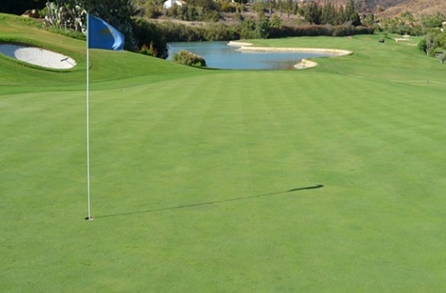 Da Nang: Hotel - Golf Course Round-trip Transfer Service