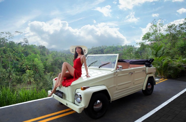 피치븐 발리 스윙 티켓