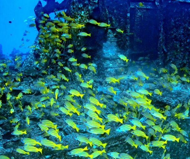 activity_detail_image