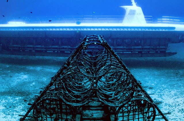 하와이 와이키키 아틀란티스 잠수함 투어