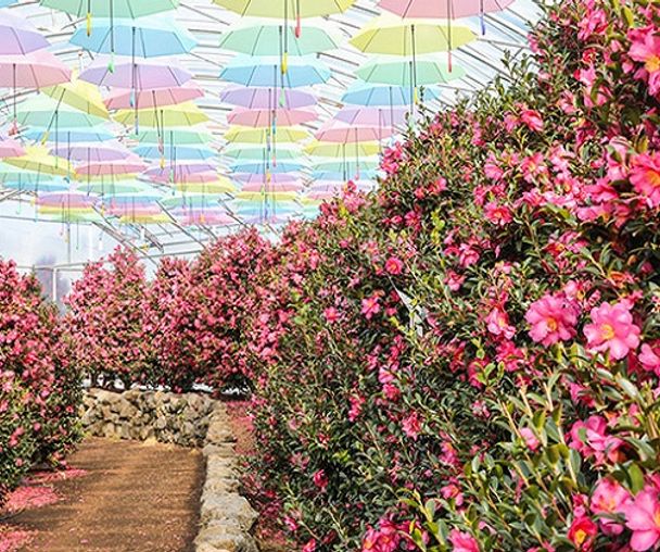 activity_detail_image