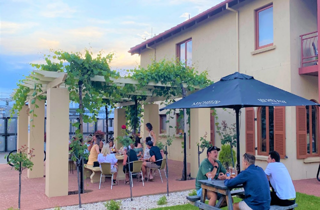 Melbourne Michelini Wines Wine Tasting Experience