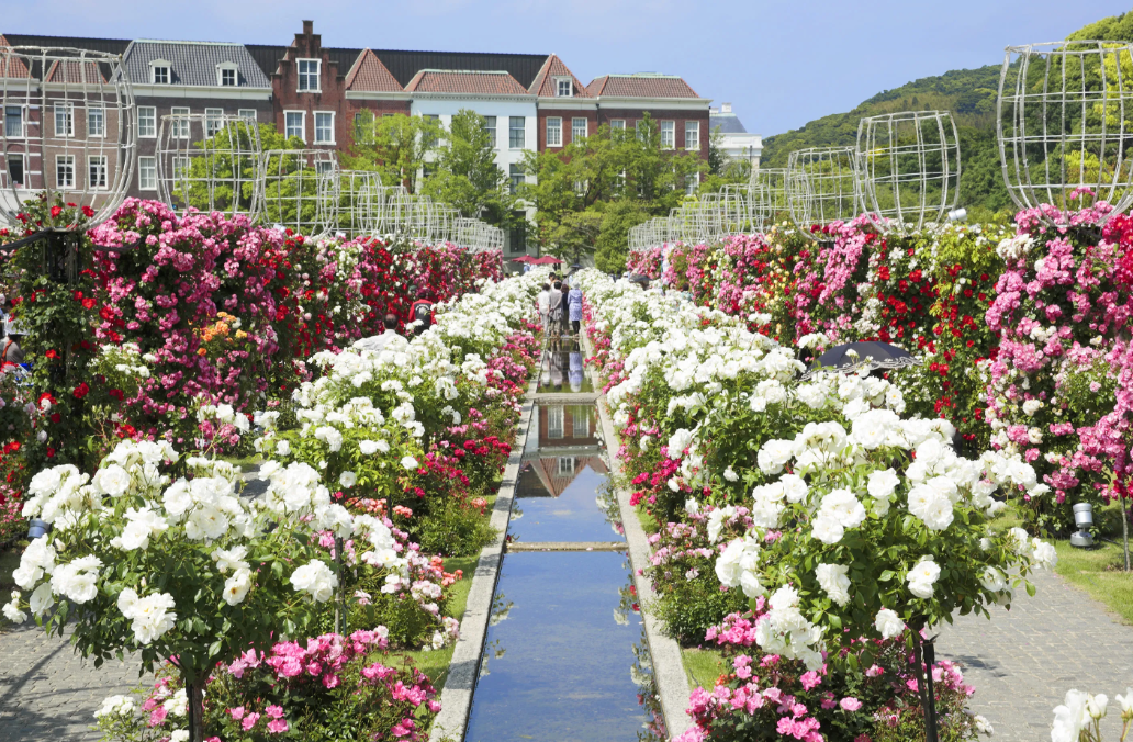 [Promotion] Nagasaki Huis Ten Bosch Round Trip Shuttle Bus Tour (Departing from Fukuoka)