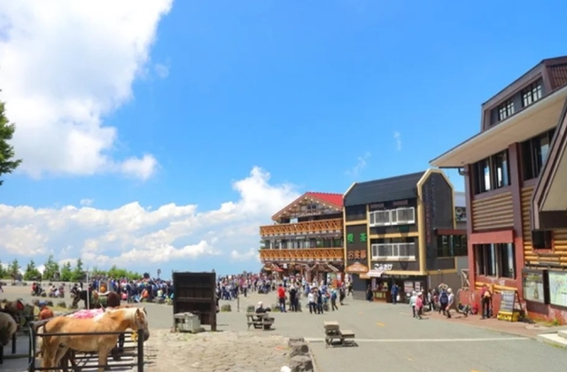 富士山と箱根に会う日替わりツアー（東京出発）