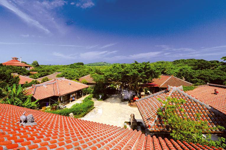 activity_detail_image