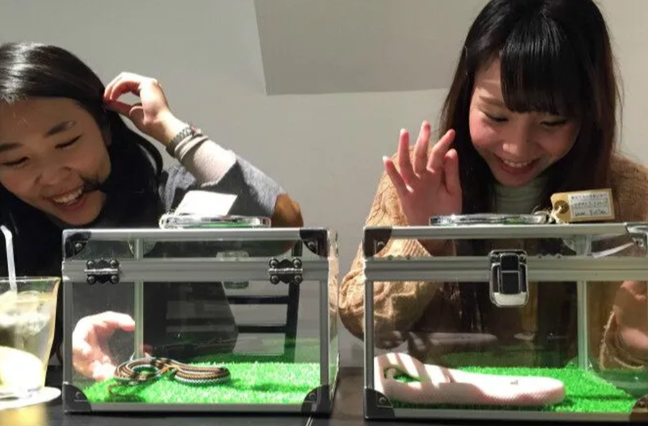 activity_detail_image