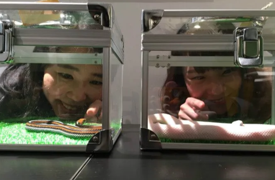 activity_detail_image