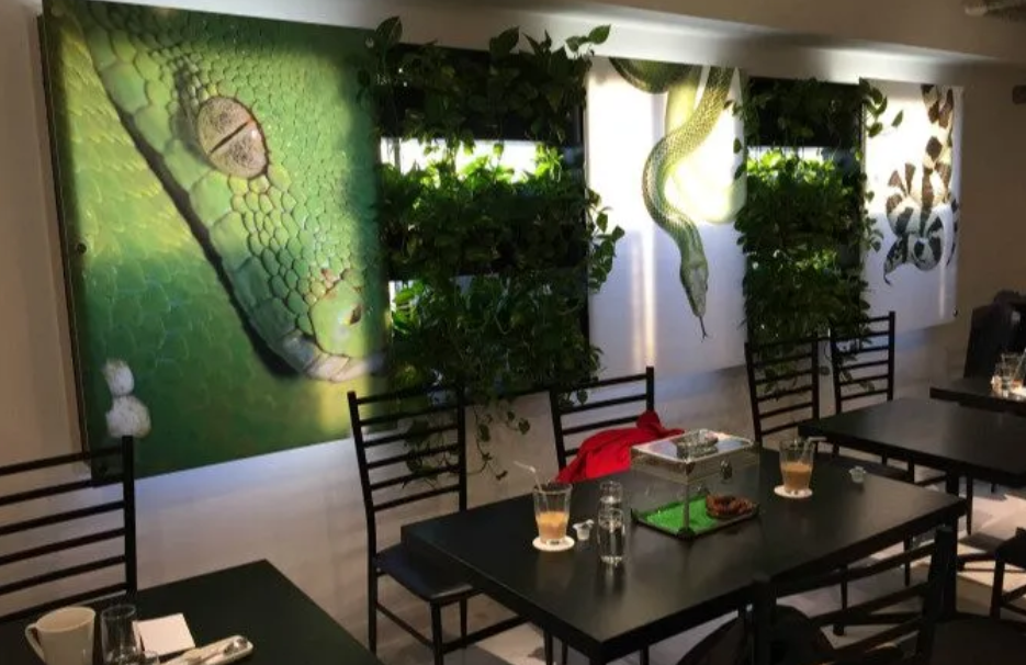 activity_detail_image