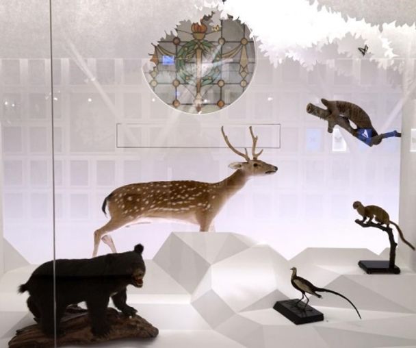 activity_detail_image