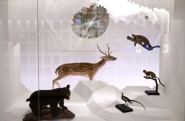 Taiwan National Museum 4-in-1 Pass