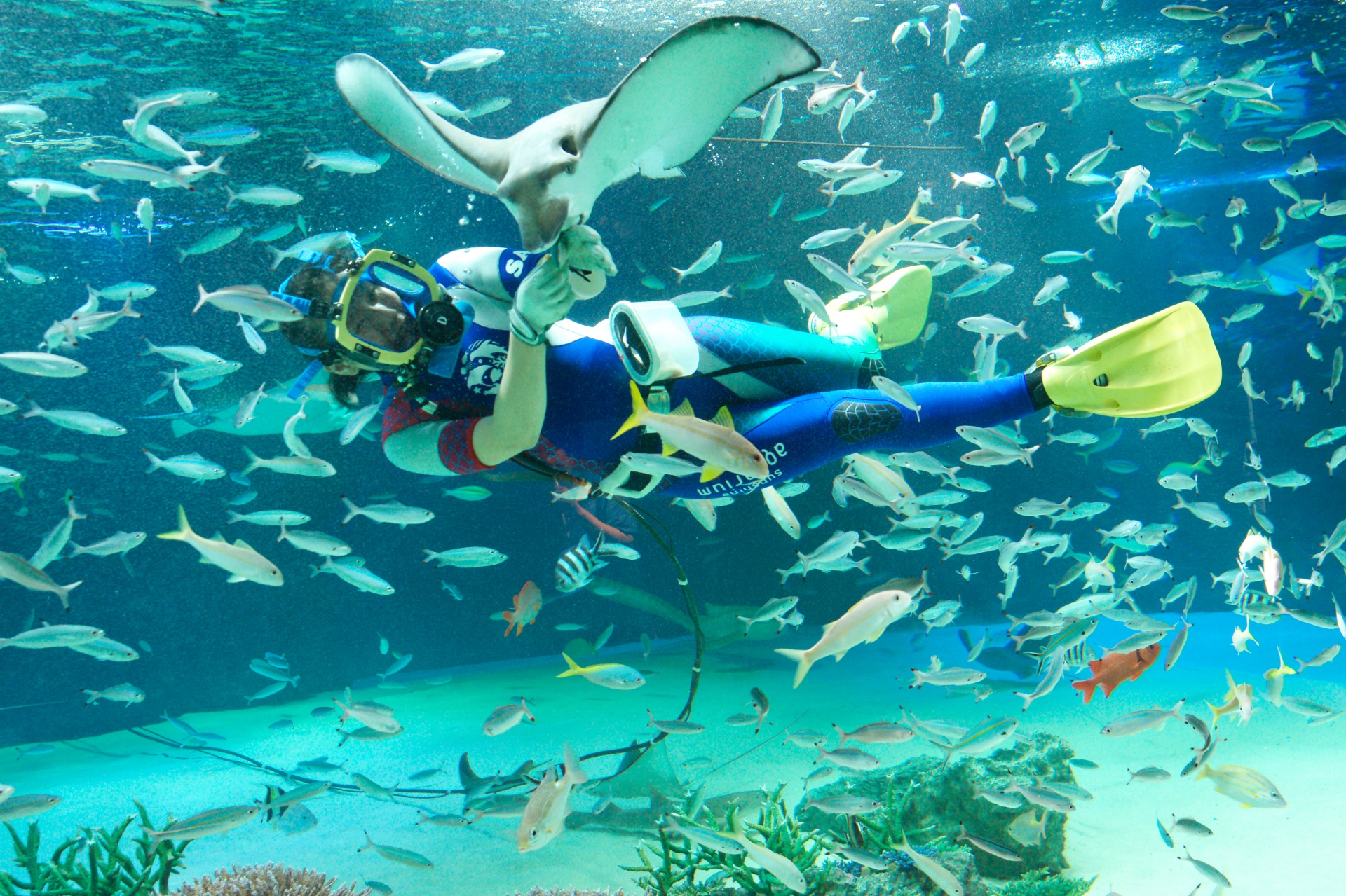 東京 池袋 サンシャインシティ水族館 入場チケット