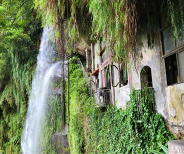 activity_detail_image