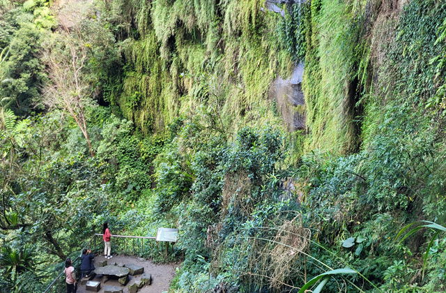 台湾北部ハイライト&銀河洞窟 日帰りタクシー観光ツアー