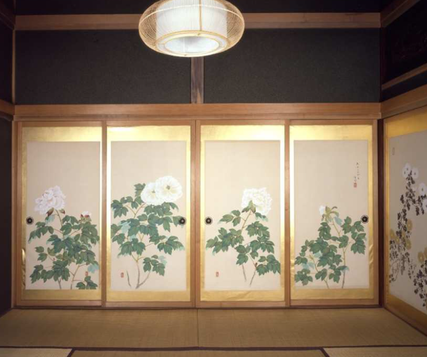 activity_detail_image