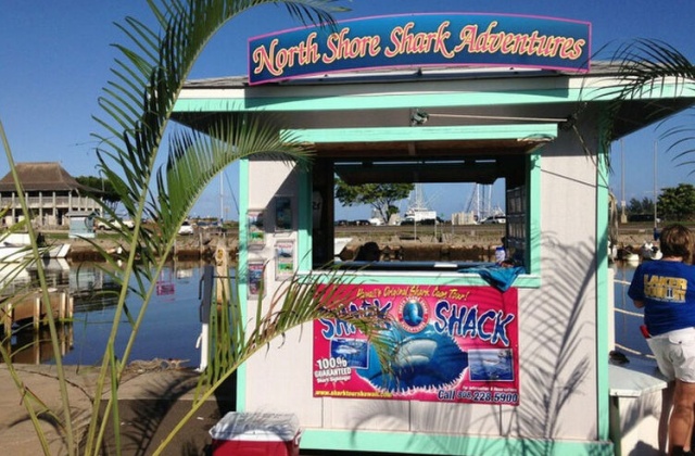 하와이 샤크 케이지 다이빙 투어