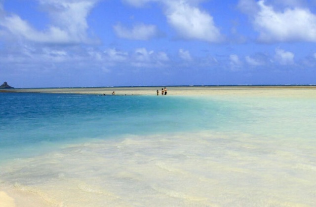 하와이 캡틴밥 카네오헤 샌드바 스노클링 & 세일링 투어