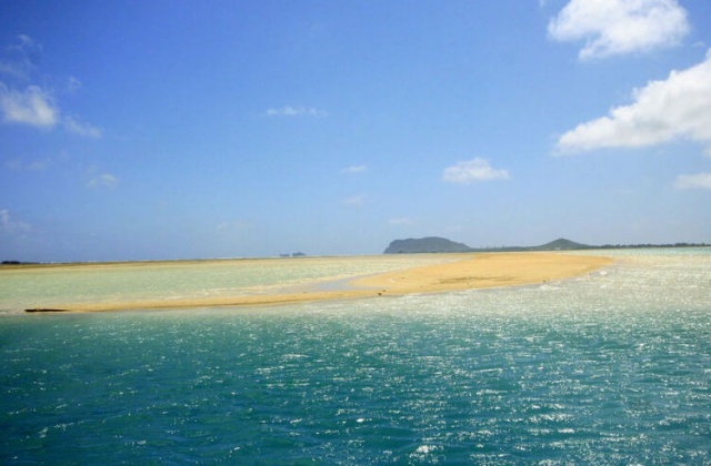 하와이 캡틴밥 카네오헤 샌드바 스노클링 & 세일링 투어