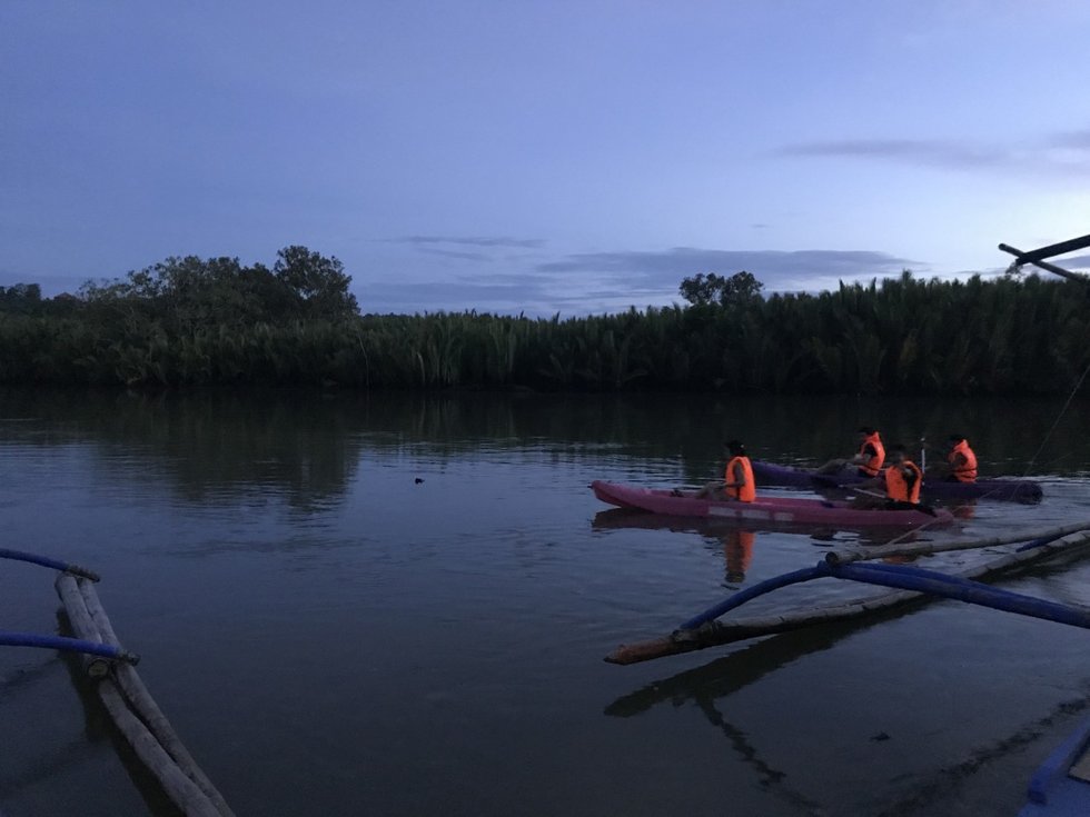 Bohol: Firefly Kayaking Tour (Abatan River Upstream Course)