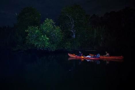 Bohol: Firefly Kayaking Tour (Abatan River Upstream Course)