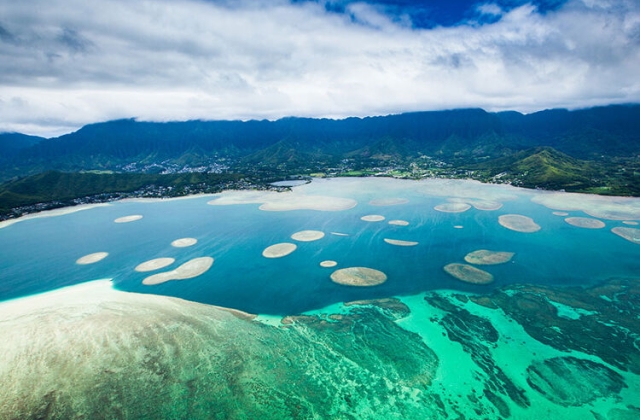 하와이 오아후 섬 레인보우 헬기 투어 (문 개폐 가능)