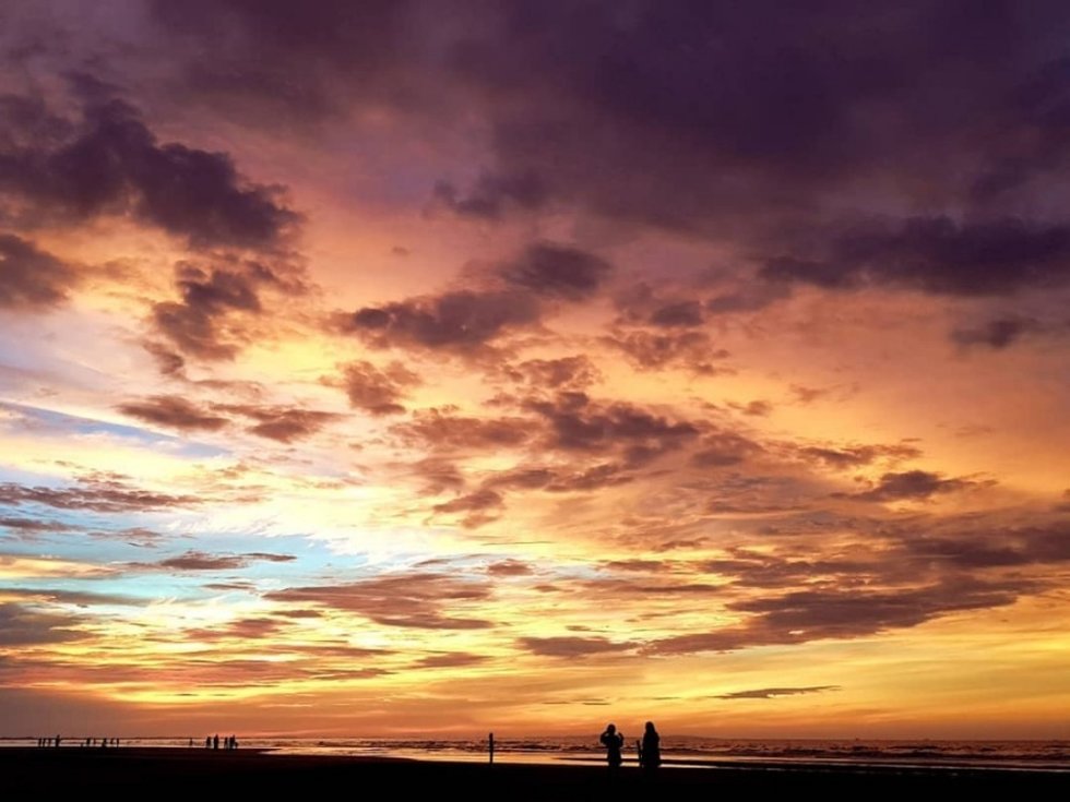 코타키나발루 반딧불 투어 by 포유말레이시아