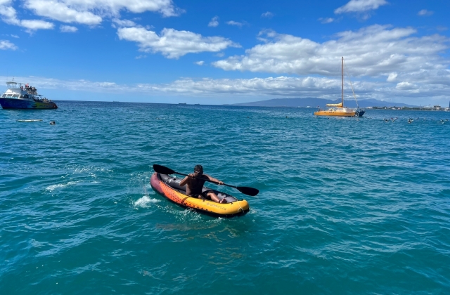 Hawaii Turtle Snorkeling and Dolphin Cruise Tour (with Optional Activities)