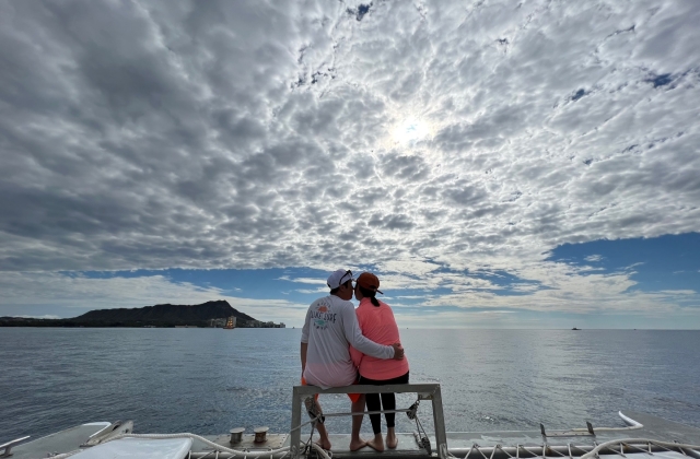 Hawaii Turtle Snorkeling and Dolphin Cruise Tour (with Optional Activities)