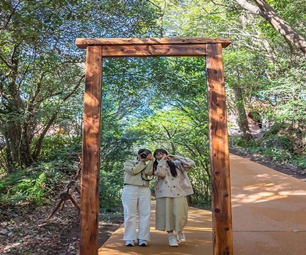 activity_detail_image