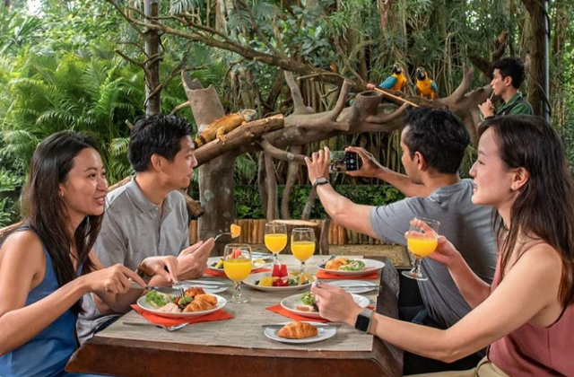 싱가포르 동물원 야외 조식 뷔페 티켓