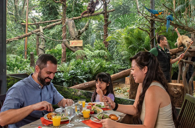 Singapore Zoo Breakfast Buffet with Wildlife