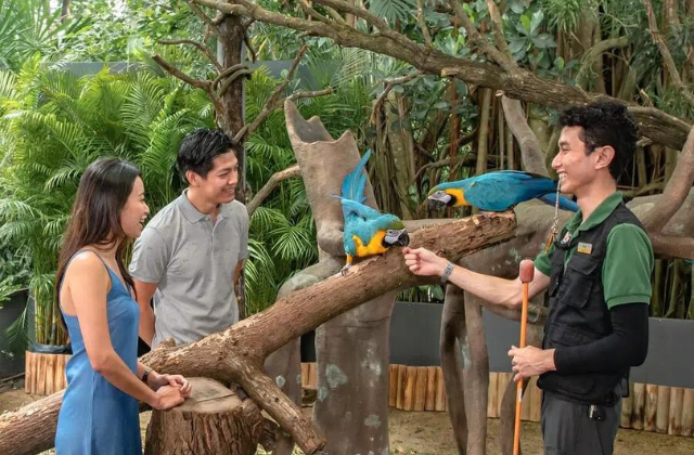 싱가포르 동물원 야외 조식 뷔페 티켓