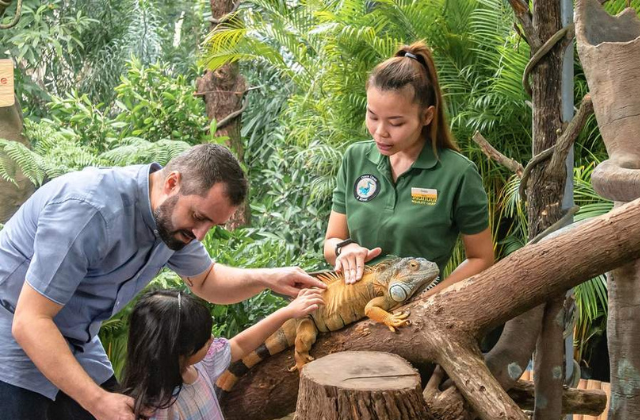 싱가포르 동물원 야외 조식 뷔페 티켓
