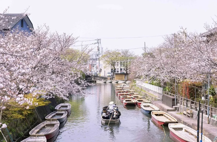 From Fukuoka: Yanagawa Private Half-Day Tour (River Cruise & Grilled Eel Lunch)