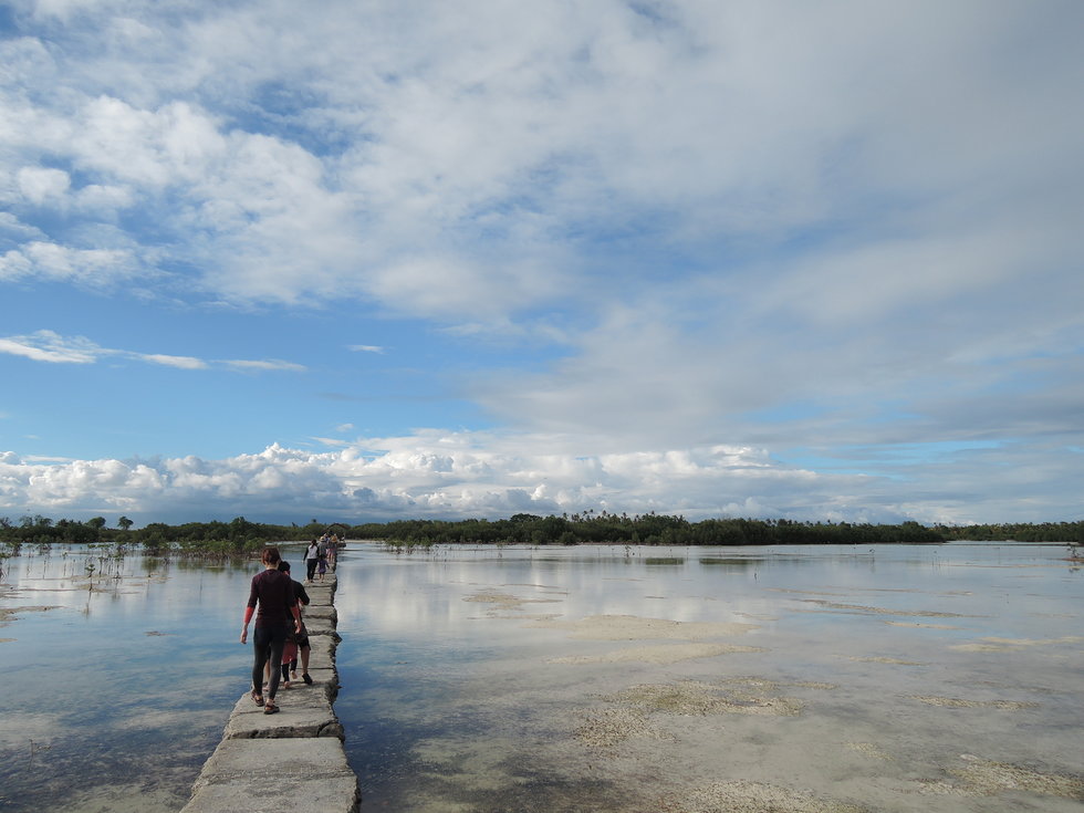 세부 호핑 투어 (힐루뚱안, 날루수안, 씨푸드 BBQ)