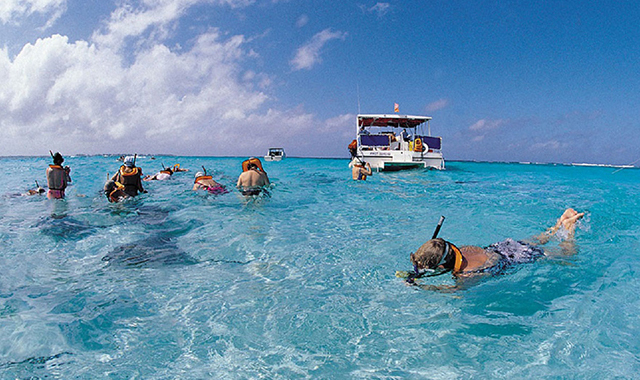 Guam Dolphin Cruise & Snorkeling Tour by Scuba Company