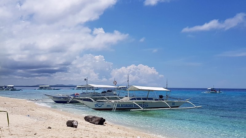 보홀 버진 아일랜드 & 발리카삭 돌핀 호핑 투어