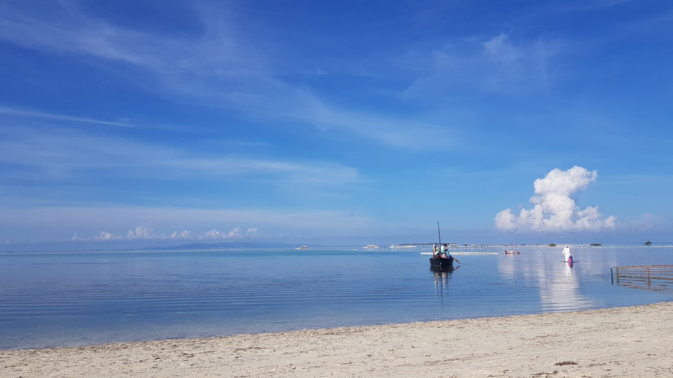 보홀 버진 아일랜드 & 발리카삭 돌핀 호핑 투어