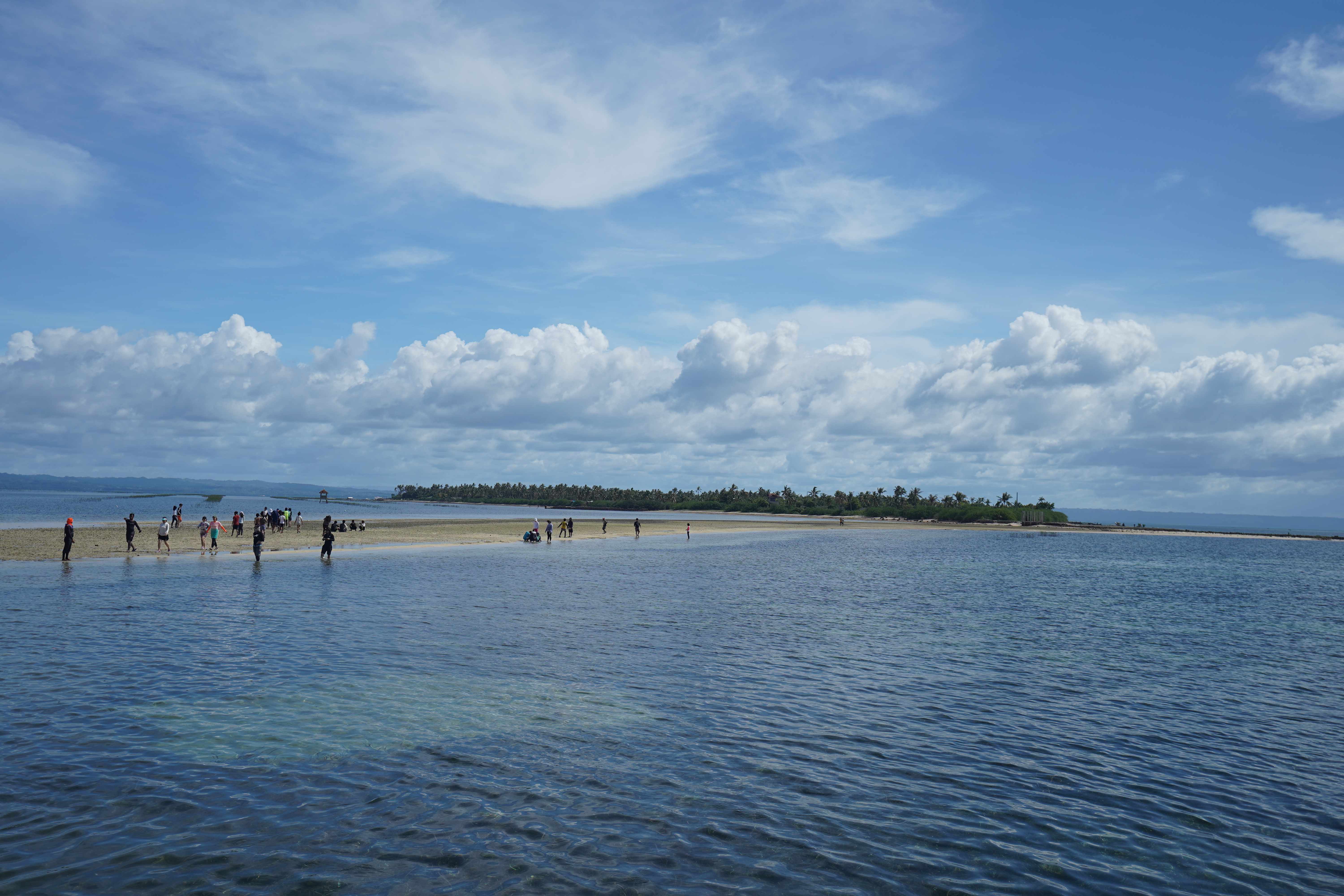 보홀 버진 아일랜드 & 발리카삭 돌핀 호핑 투어